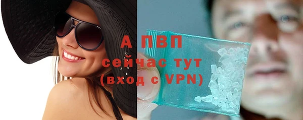 СК Нефтегорск