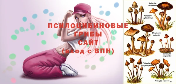 эйфоретик Сосновка
